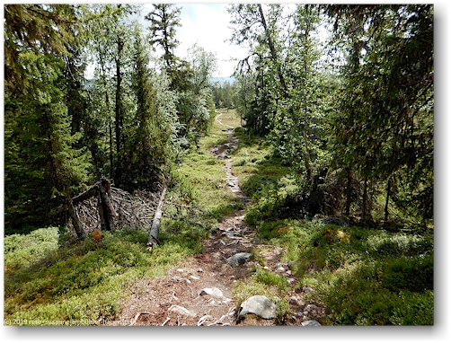 wanderweg in der naehe der forssjoearna