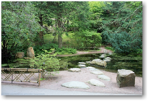 teich im goeteborgs botaniska traedgard