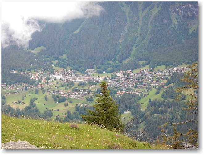 blick von schwand auf wengen