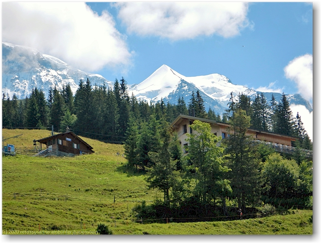 blick von wengen auf das silberhorn
