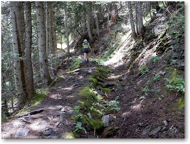 wanderweg entlang der ehemaligen bisse d'ayent