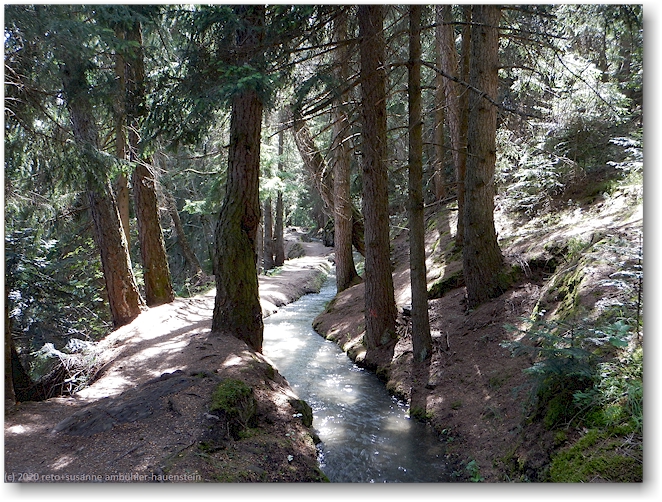 wanderweg entlang der bisse d'ayent als gegrabener kanal