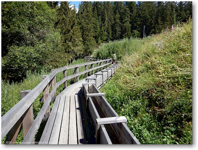 bisse du ro als holzkanal neben wandersteg