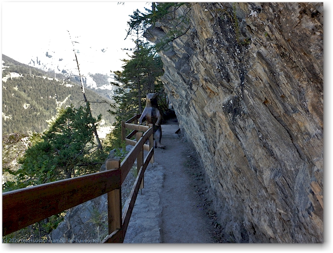 baer auf dem wanderweg entlang der bisse du torrent-neuf