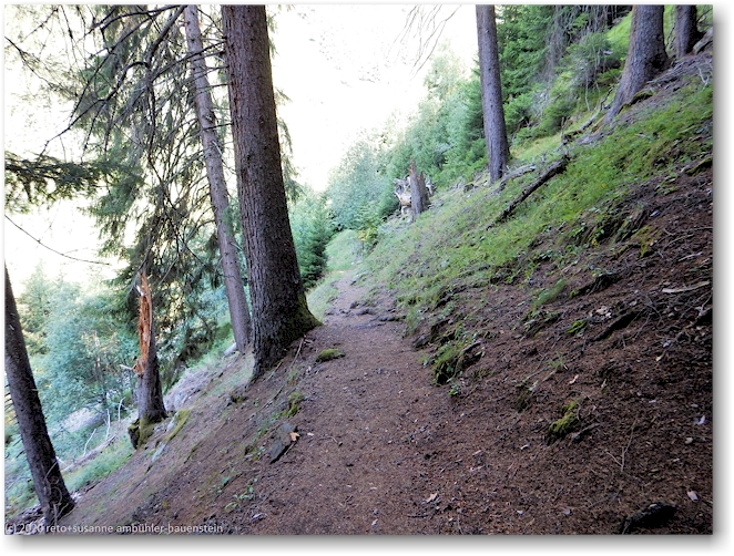 schattiger wanderweg oberhalb faltscharidas