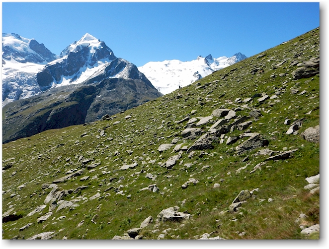 blick von der alp ota auf den piz roseg