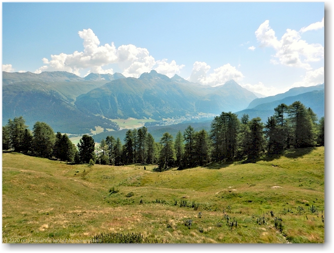 blick von der alp laret richtung pontresina
