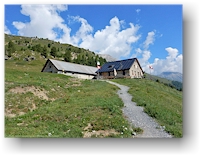 alp laret