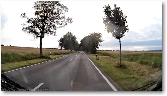 allee im verlauf der landstrasse L01
