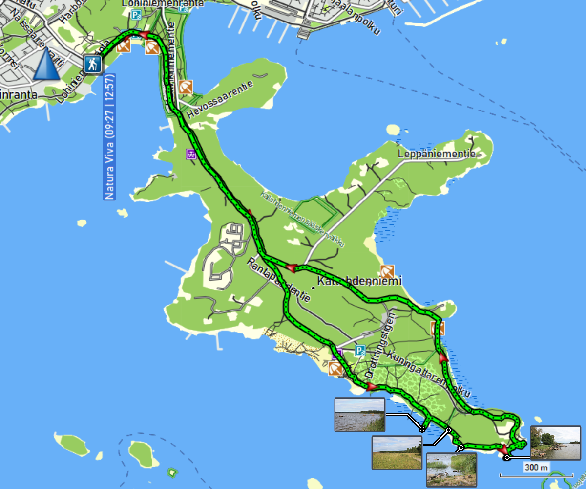 wegstrecke der rundwanderung auf kallahdenniemi