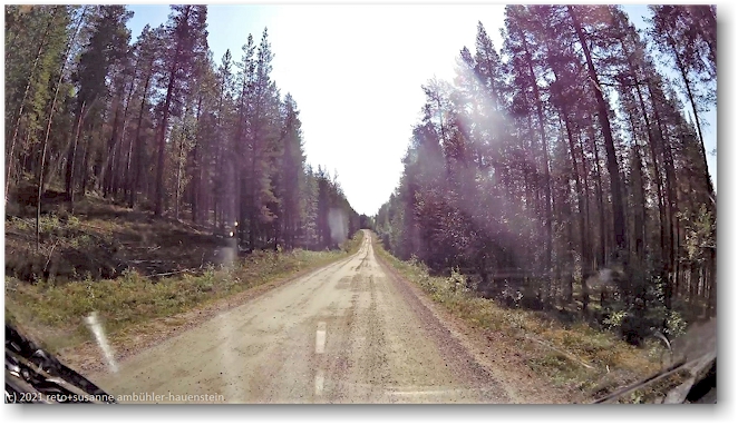 unbefestigte strasse in den muddus nationalpark