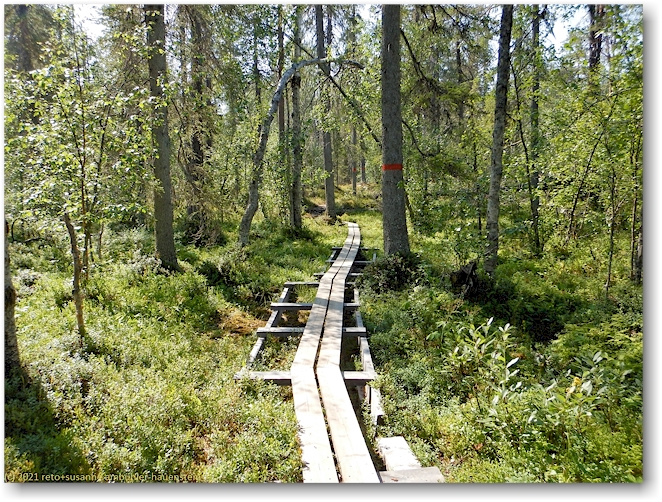 wandersteg im muddus nationalpark