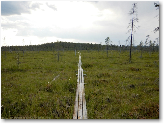 wandersteg im muddus nationalpark