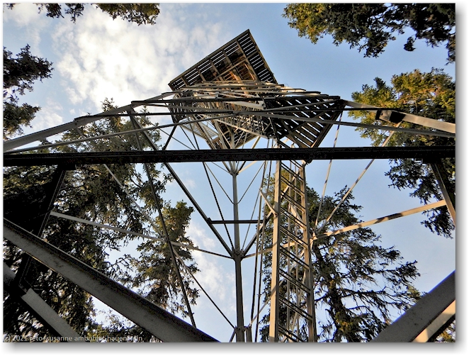 taussichtsturmurm beim muddusluoppal im muddus nationalpark