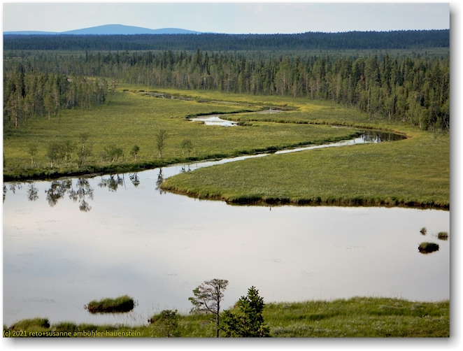 blick vom aussichtsturm auf den oarjep muddusluoppal im muddus nationalpark