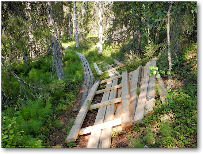 alte und neue wanderstege im muddus nationalpark