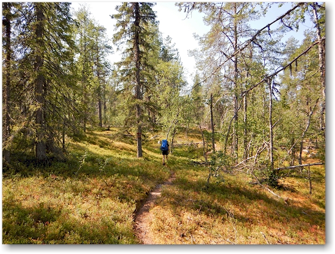 wanderweg im muddus nationalpark