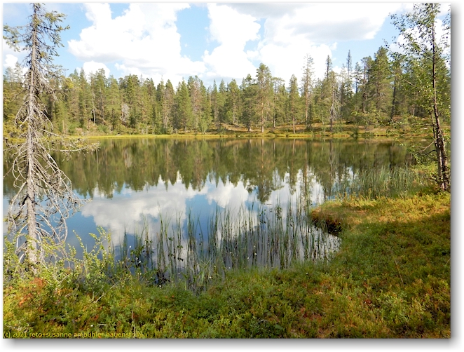 noch ein malerischer see im muddus nationalpark
