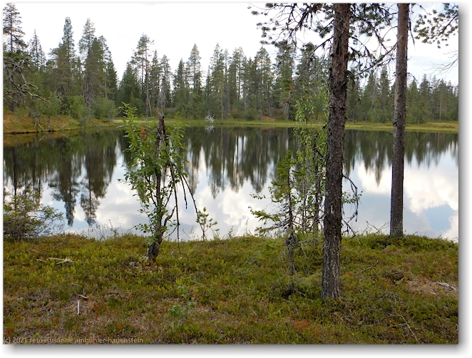nammavarejavratja im muddus nationalpark