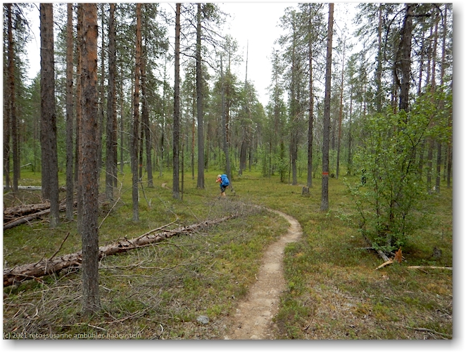 wanderweg im muddus nationalpark