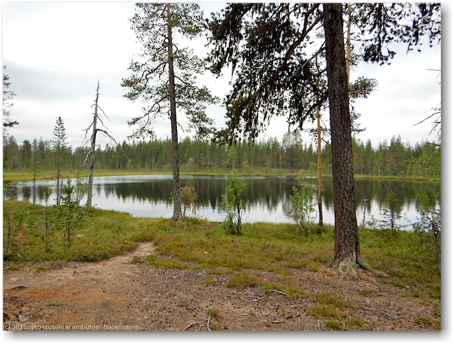 parkaljaure im muddus nationalpark
