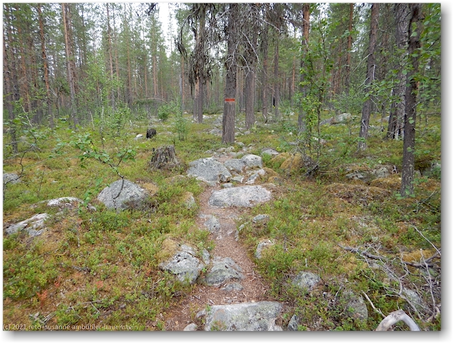 wanderweg im muddus nationalpark