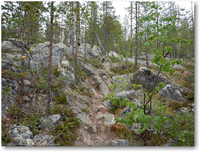wanderweg entlang des maskosgarssa im muddus nationalpark