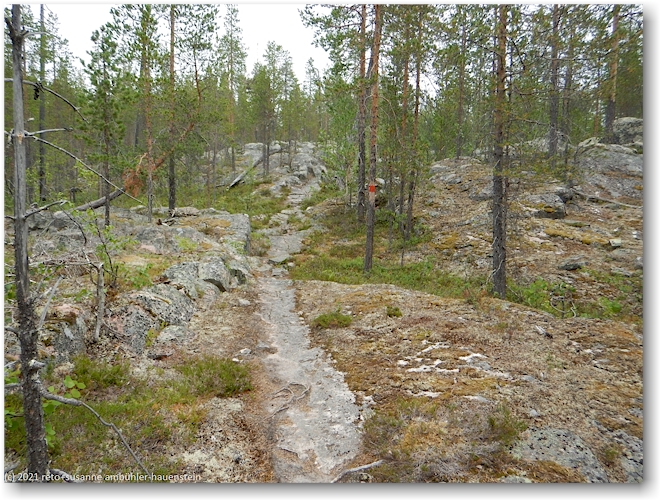 wanderweg entlang des maskosgarssa im muddus nationalpark