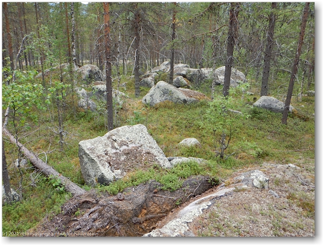 felsbloecke im muddus nationalpark