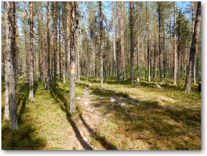 wanderweg im muddus nationalpark