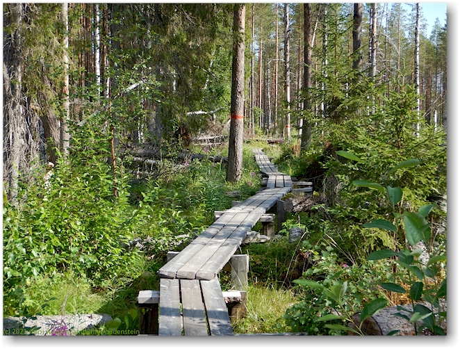 wandersteg im muddus nationalpark