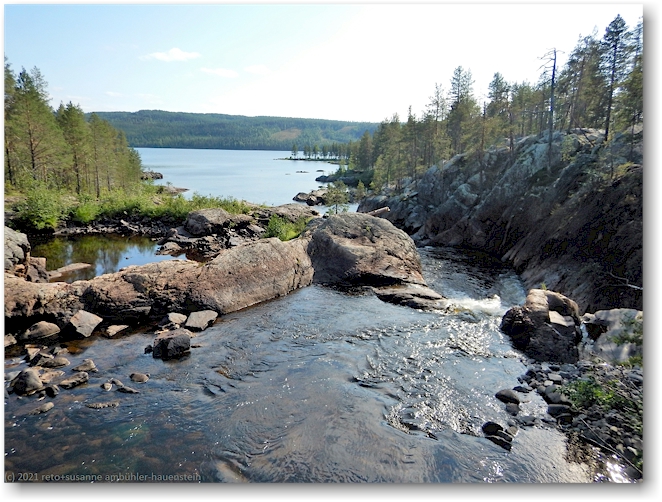 einmuendung des muddusaelven in den stora luleaelven im muddus nationalpark