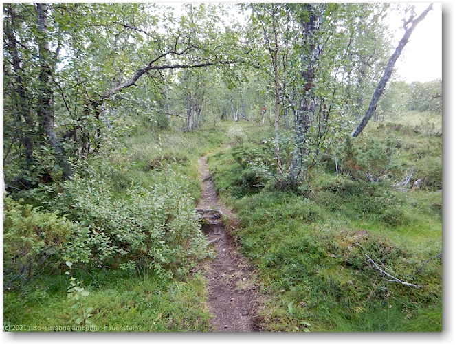 wanderweg bei baeverholmen