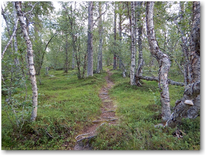 wanderweg