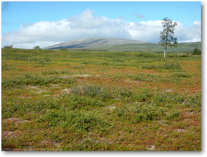 kalfjaell