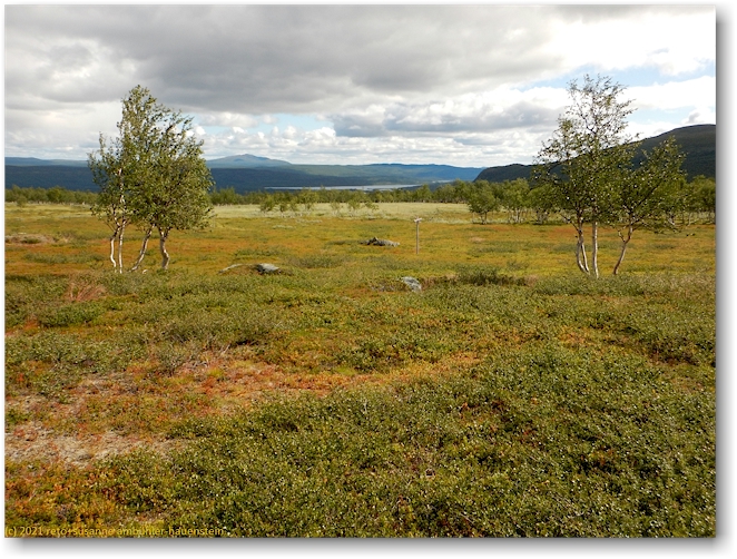 kalfjaell