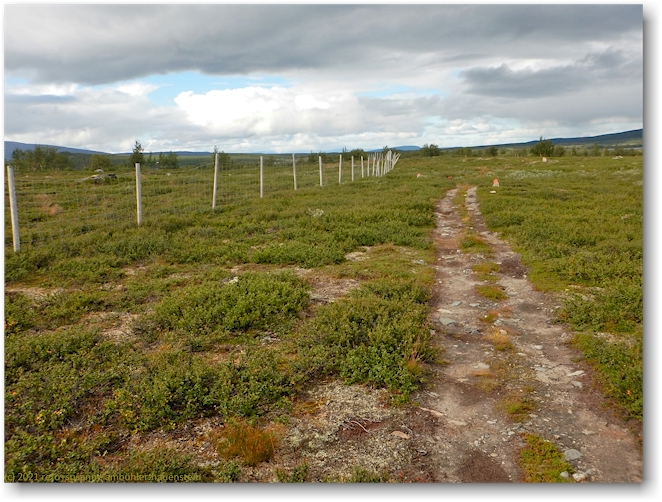 rentierzaun entlang des kungsleden