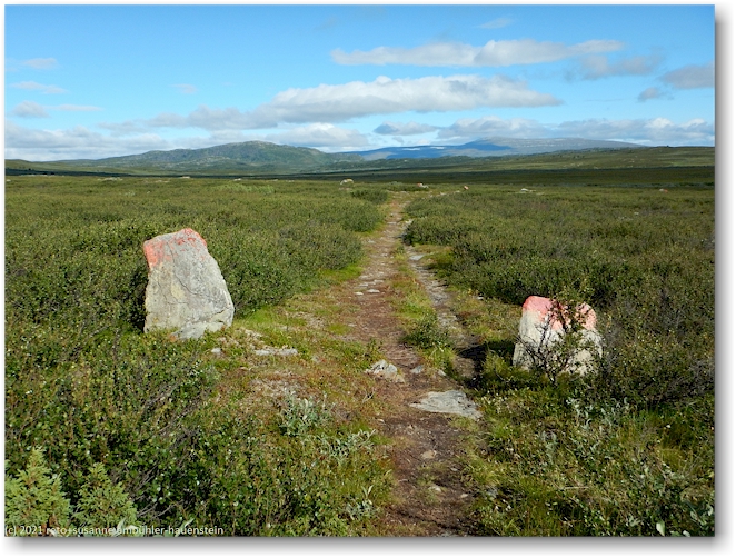 wanderweg auf dem kalfjaell