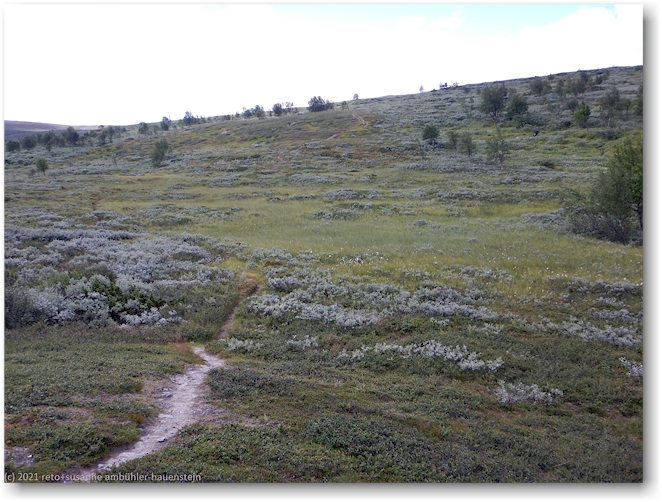 kungsleden hinauf richtung dautabaune
