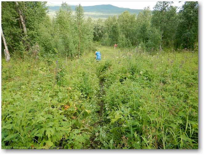 wanderweg bei vuornavagge