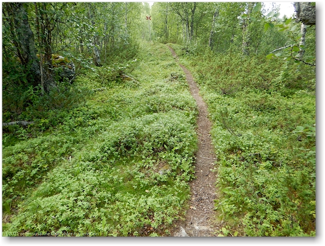 wanderweg bei vuornavagge