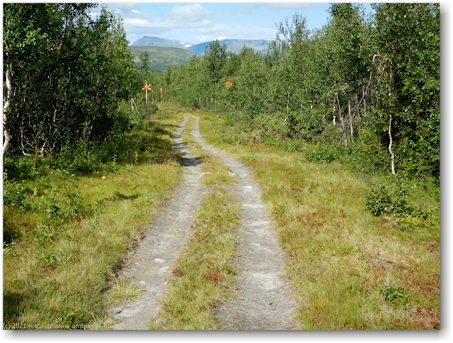 wanderweg auf dem naesberget