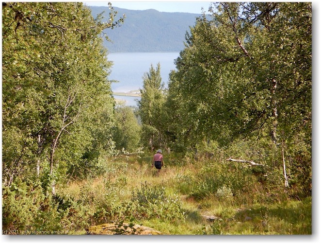 abstieg vom naesberget nach ammarnaes