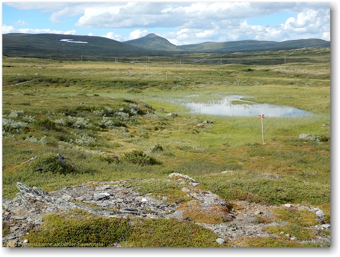 kalfjaell