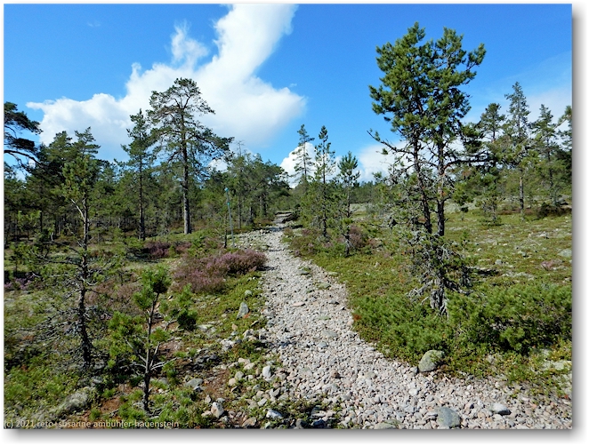 wanderweg im hoelick naturreservat