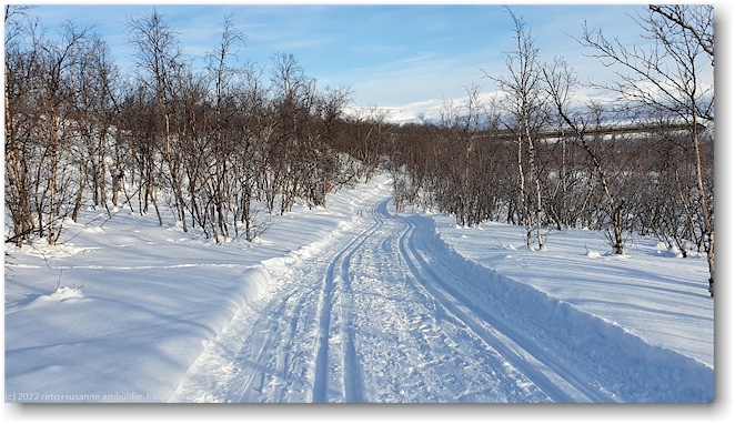 loipe bei abisko