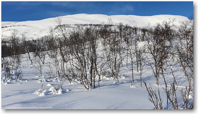 slattatjakka