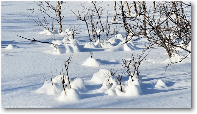 neckische schneehaeufchen