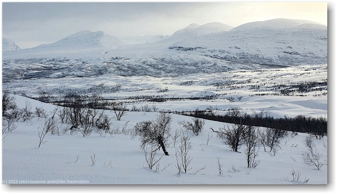 winterlandschaft bei abisko