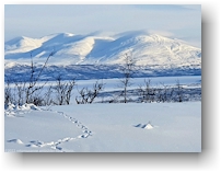 winterlandschaft bei abisko